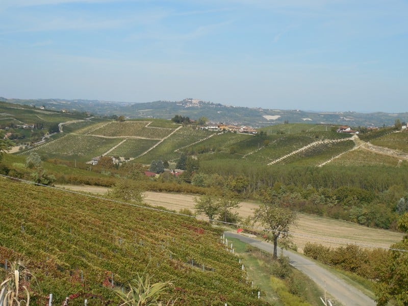 Weinanbaugebiete des Piemont mit Weinreben und kleinen Dörfern