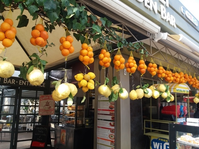 In Neapel gibt es reichlich Zitronen und Orangen
