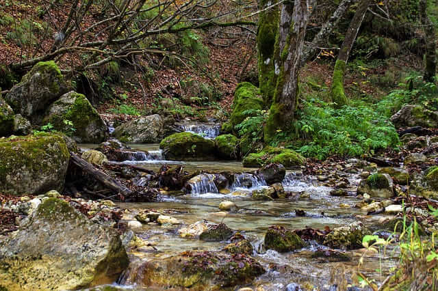 Viele Bäche durchziehen das Valle dell'Orfento