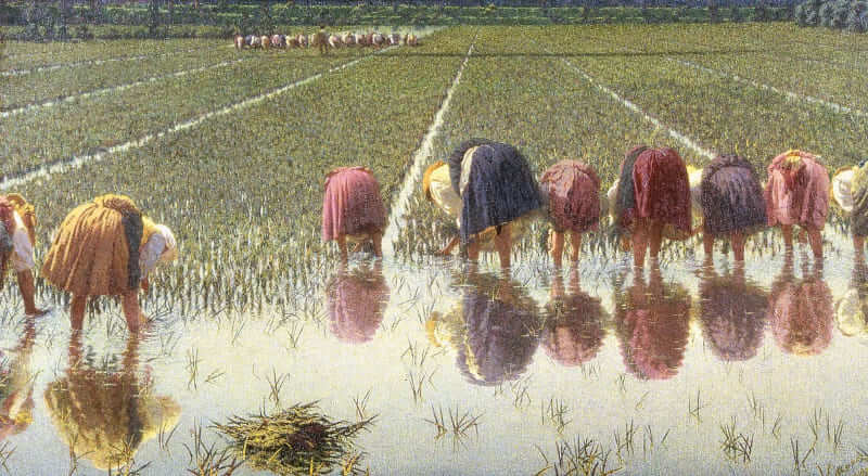 Bild "Arbeit im Reisfeld" von Angelo Morbelli