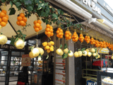Zitrusfrüchte sind ein Symbol des Südens und von Neapel