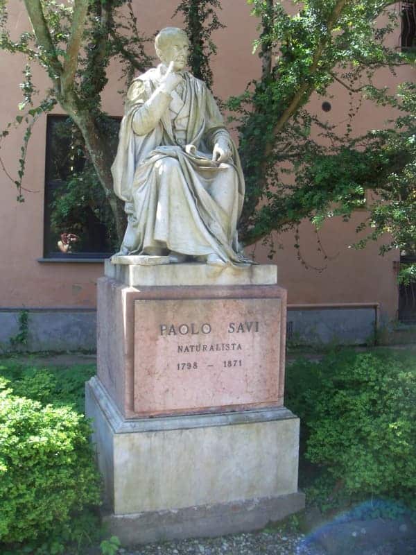Statue von Paolo Savi im Botanischen Garten