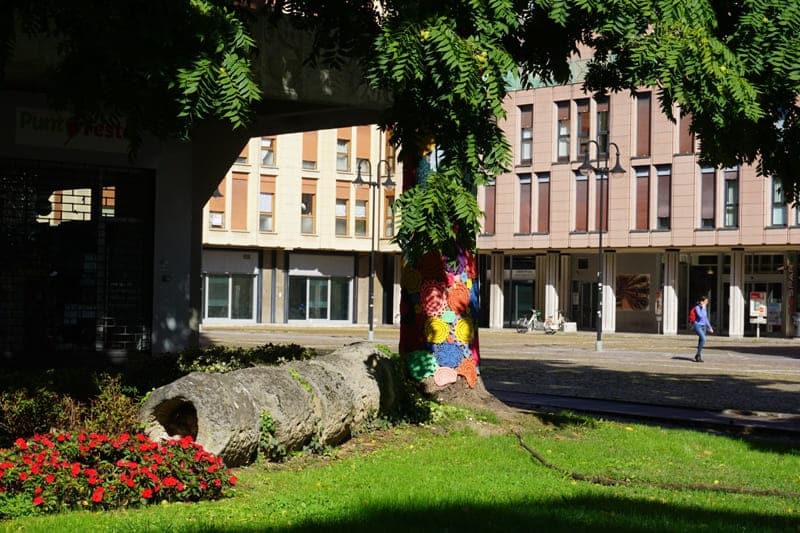 bestrickter Baum auf einer Piazza in Padua