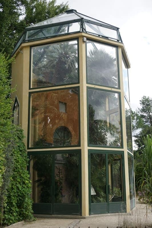 die berühmte Goethe-Palme in ihrem Gewächshaus - war nicht einfach zu fotografieren