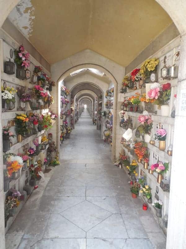 Kolumbarien mit viel Blumenschmuck in Genua