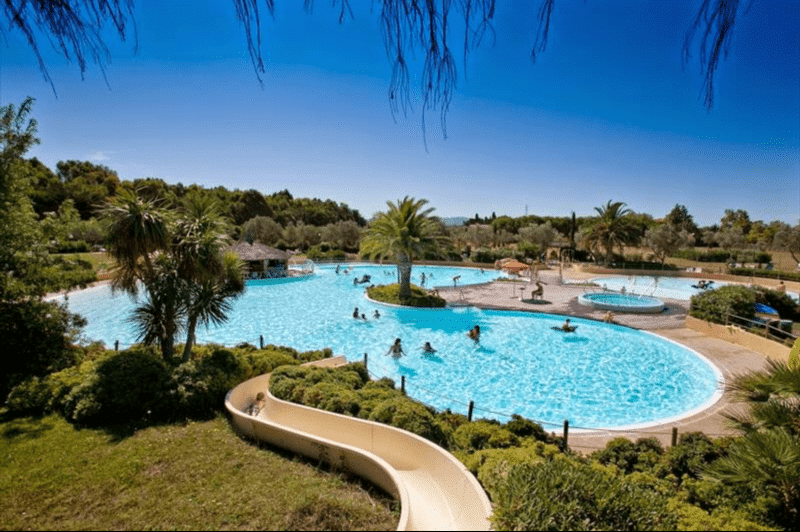 Poollandschaft mit Palme