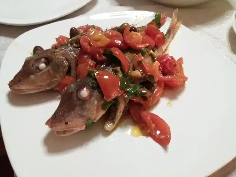 Roter Knurrhahn zubereitet mit Tomaten, Oliven und Petersilie